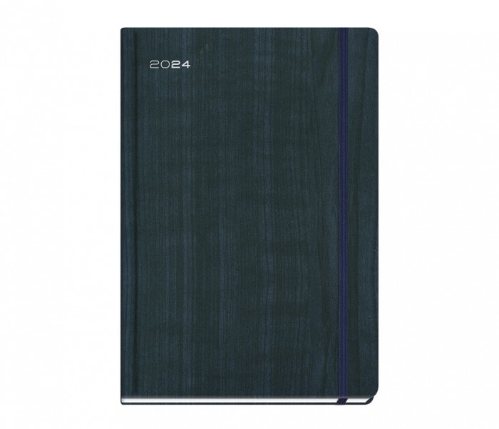 Woodstock Daily Diary Large Blue