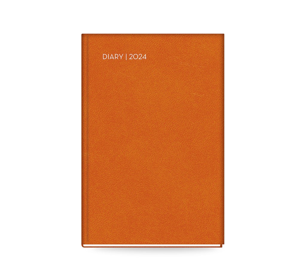 All Times 300 Daily Diary...