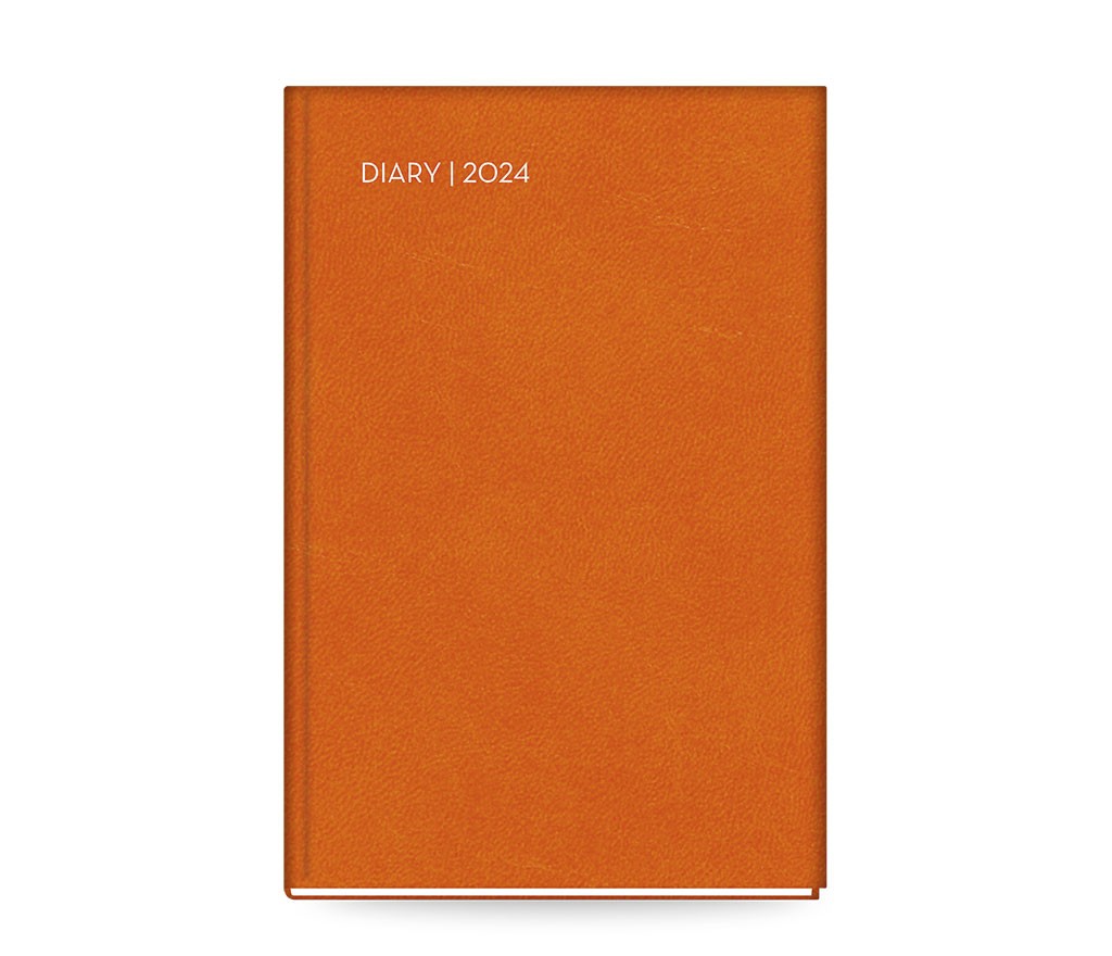 All Times 300 Daily Diary...