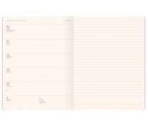 Flex Global Weekly Diary...
