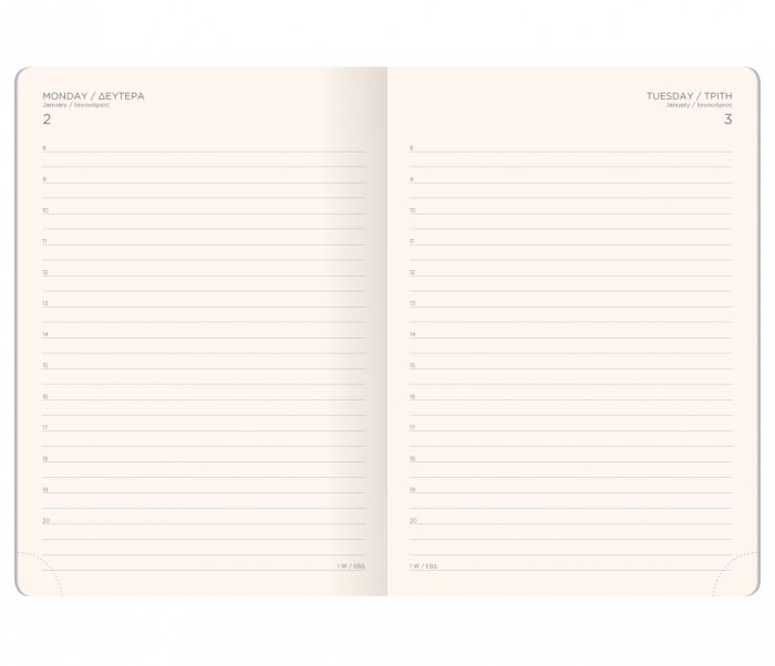 Classico Daily Diary Large Brown