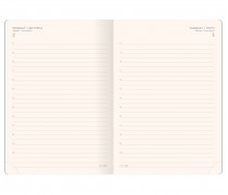 Classico Daily Diary Large...