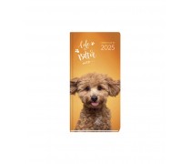 Dogs & Cats Weekly Diary...