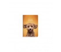 Dogs & Cats Weekly Diary...