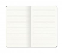 I Love Cactus Notebook...