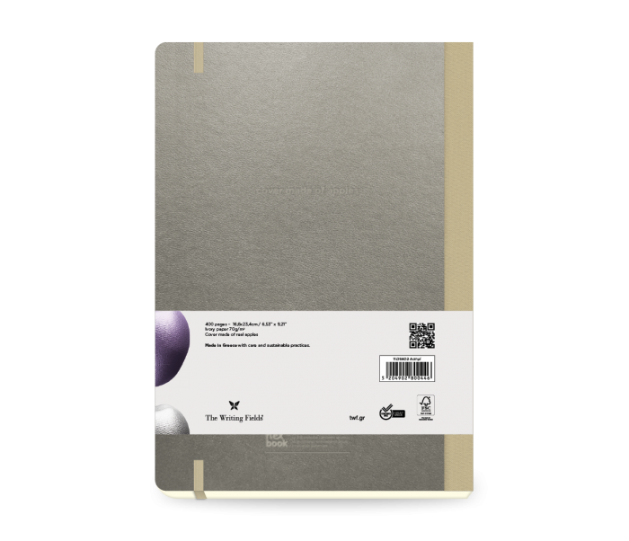 Applestars Daily Diary Large Silver