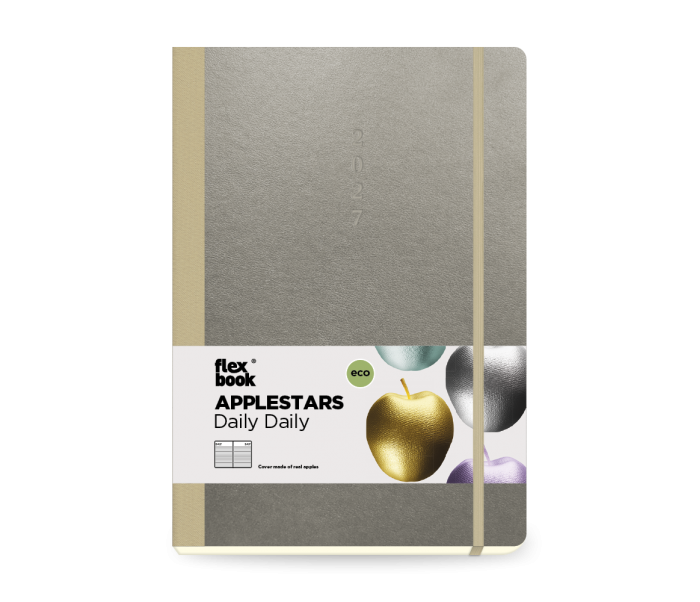 Applestars Daily Diary Large Silver