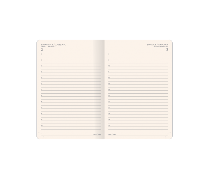 Applestars Daily Diary Medium Silver
