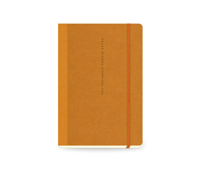 Lovable Daily Diary Large Orange
