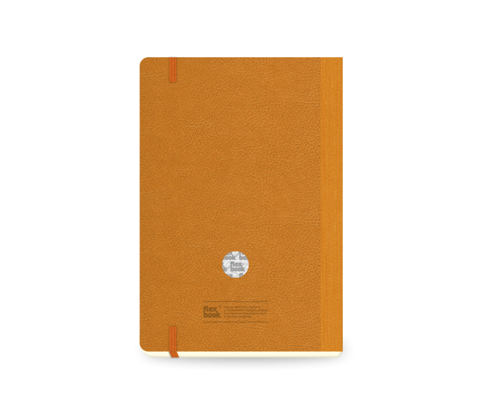 Lovable Daily Diary Large Orange