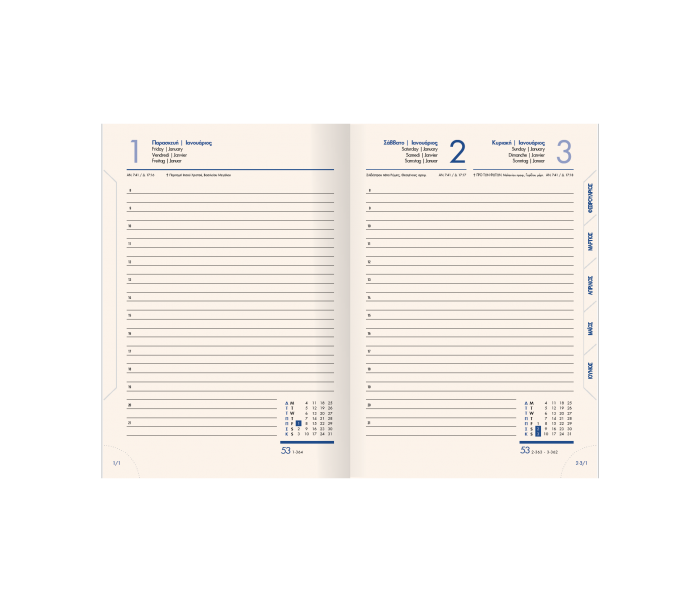 Lovable Daily Diary Large Petrol