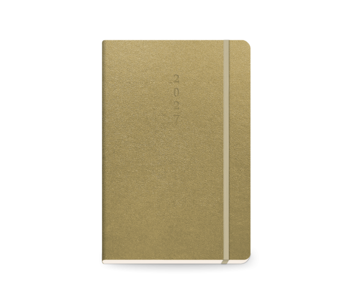 Precious Daily Diary Medium Gold
