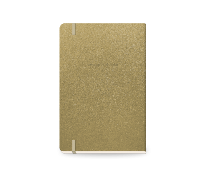 Precious Daily Diary Medium Gold