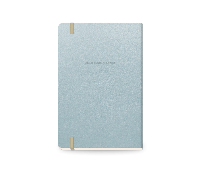 Precious Daily Diary Medium Artic Blue