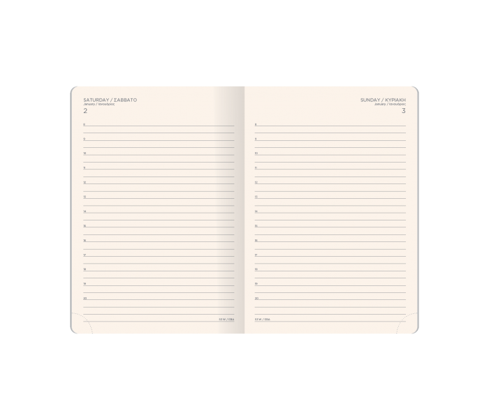 Desires Daily Diary Large Brown Sugar