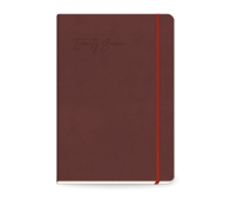 Elegant Daily Diary Large...