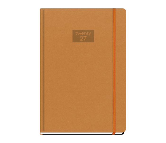 Inspirations Daily Diary Large Orange