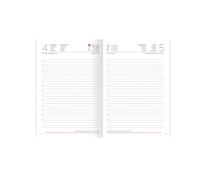 Inspirations Daily Diary Medium Light...