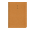 Eternity Daily Diary Large Orange
