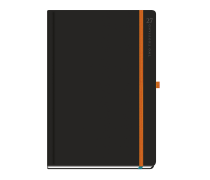 Black Rainbow Daily Diary...