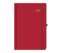 Lumina Daily Diary Large Red