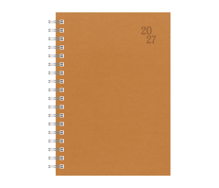 Spiral 230 Daily Diary Large Orange