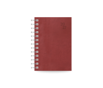 Spiral 230 Daily Diary...