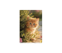 Dogs & Cats Daily Diary...