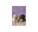 Dogs & Cats Daily Diary Medium Dogs