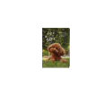 Dogs & Cats Weekly Diary Mini Dog