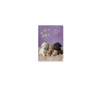 Dogs & Cats Weekly Diary...