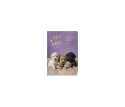 Dogs & Cats Weekly Diary Mini Dogs
